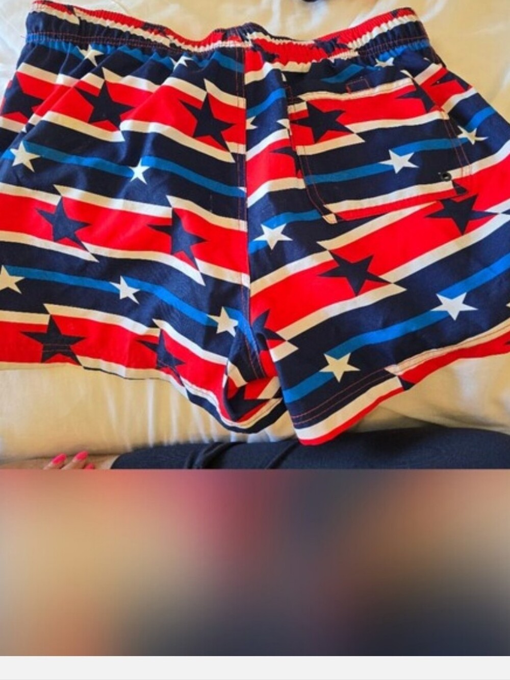Men's Speedo Patriotic Swim Shorts